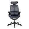 Sedia da Gaming Ergonomica BloodDragon