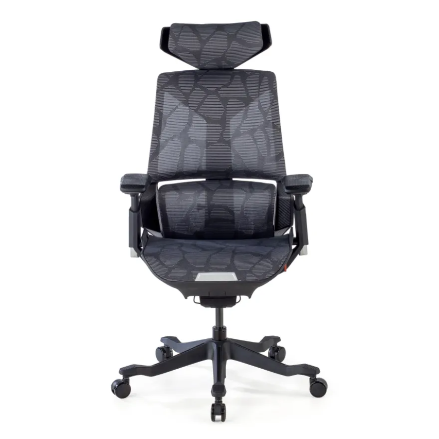 Sedia da Gaming Ergonomica BloodDragon
