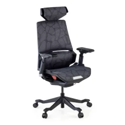 Sedia da Gaming Ergonomica BloodDragon