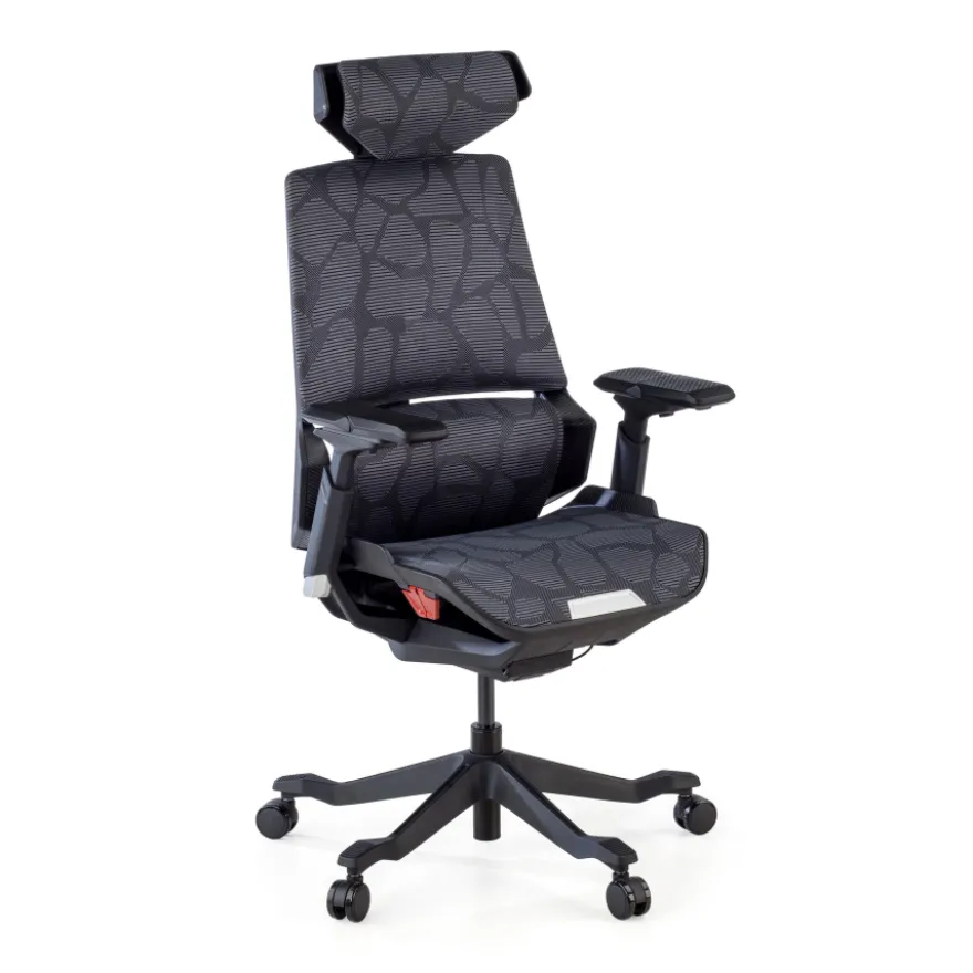 Sedia da Gaming Ergonomica BloodDragon