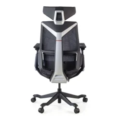 Sedia da Gaming Ergonomica BloodDragon