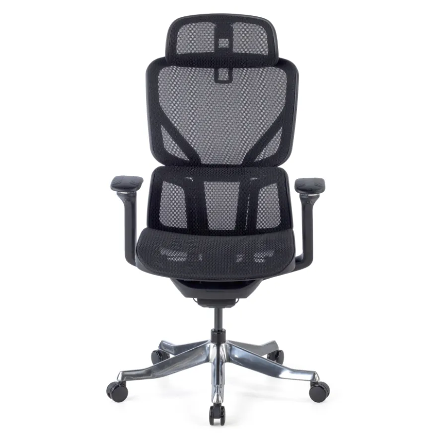 Sedia da Ufficio Ergonomica AeroFit, Alte Prestazioni, Struttura Nera