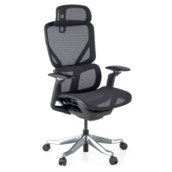 Sedia da Ufficio Ergonomica AeroFit, Alte Prestazioni, Struttura Nera