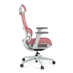Sedia da Ufficio Ergonomica Balance Pro White, Braccioli 3D