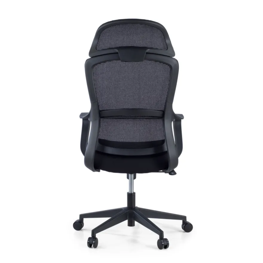 Sedia da Ufficio Ergonomica Nebula, cuscino lombare