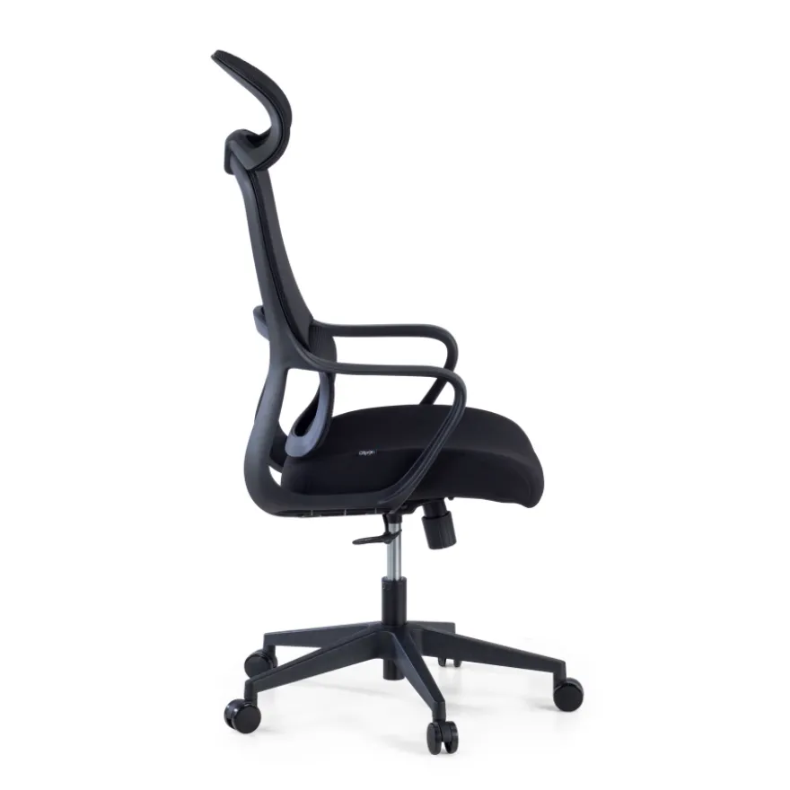 Sedia da Ufficio Ergonomica Nebula, cuscino lombare