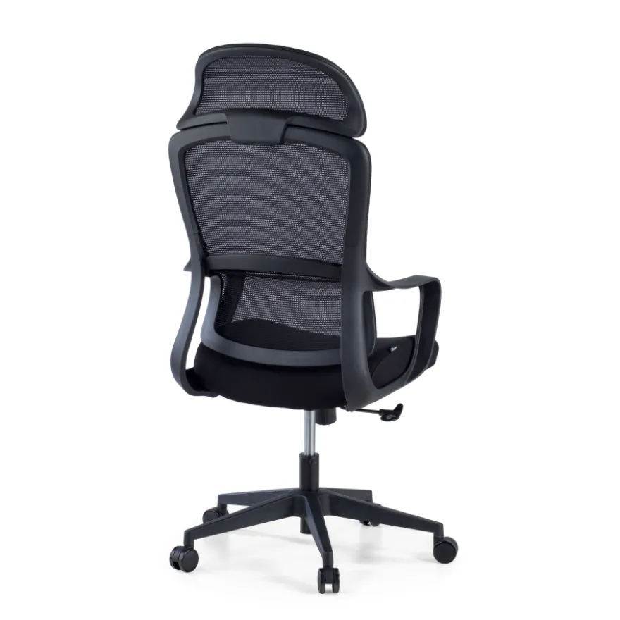 Sedia da Ufficio Ergonomica Nebula, cuscino lombare