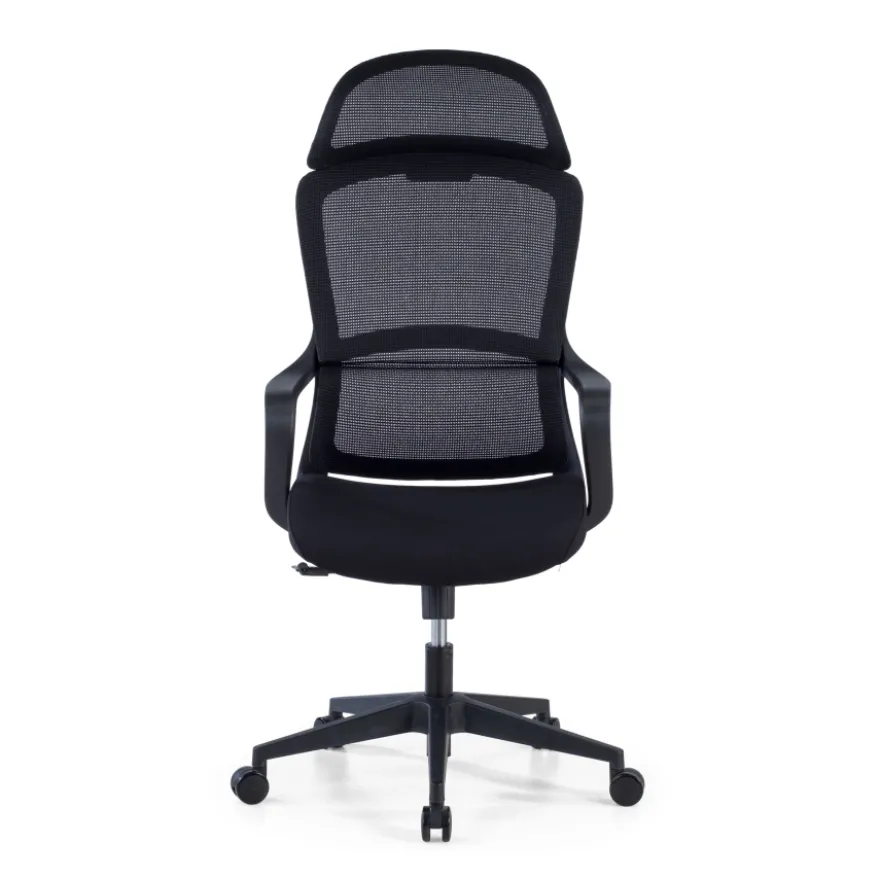 Sedia da Ufficio Ergonomica Nebula, cuscino lombare