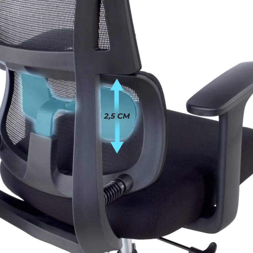 Sedia da Ufficio Ergonomica Orbit con Poggiatesta, Supporto Lombare