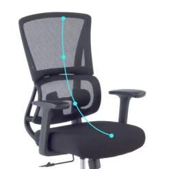 Sedia da Ufficio Ergonomica Orbit con Supporto Lombare, Seduta Imbottita