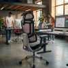Sedia da Ufficio Ergonomica Valkyr, schienale auto-adattabile