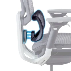 Sedia da Ufficio Ergonomica Valkyr, schienale auto-adattabile