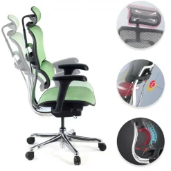 Sedia direzionale ergonomica Ergohuman Edition I, Struttura nera