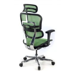 Sedia direzionale ergonomica Ergohuman Edition I, Struttura nera