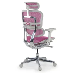 Sedia direzionale ergonomica Ergohuman Elite, Struttura bianca