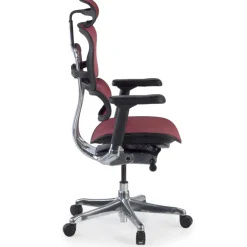Sedia direzionale ergonomica Ergohuman Elite, Struttura nera