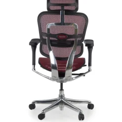 Sedia direzionale ergonomica Ergohuman Elite, Struttura nera