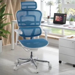 Sedia direzionale ergonomica Ergohuman Edition I, Struttura bianca