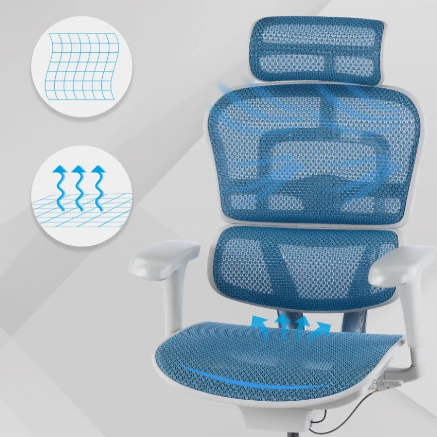 Sedia direzionale ergonomica Ergohuman Edition I, Struttura bianca