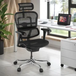 Sedia direzionale ergonomica Ergohuman Edition I, Struttura nera