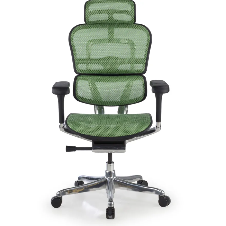 Sedia direzionale ergonomica Ergohuman Elite, Struttura nera