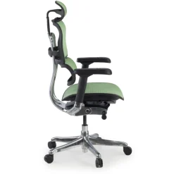 Sedia direzionale ergonomica Ergohuman Elite, Struttura nera