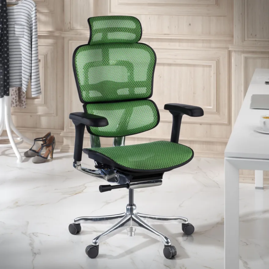 Sedia direzionale ergonomica Ergohuman Elite, Struttura nera