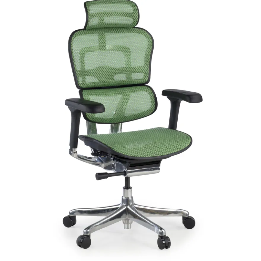 Sedia direzionale ergonomica Ergohuman Elite, Struttura nera