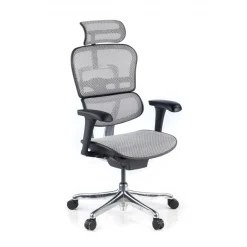 Sedia direzionale ergonomica Ergohuman Edition I, Struttura nera