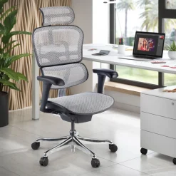 Sedia direzionale ergonomica Ergohuman Edition I, Struttura nera