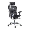 Sedia direzionale ergonomica Ergohuman Elite, Struttura nera