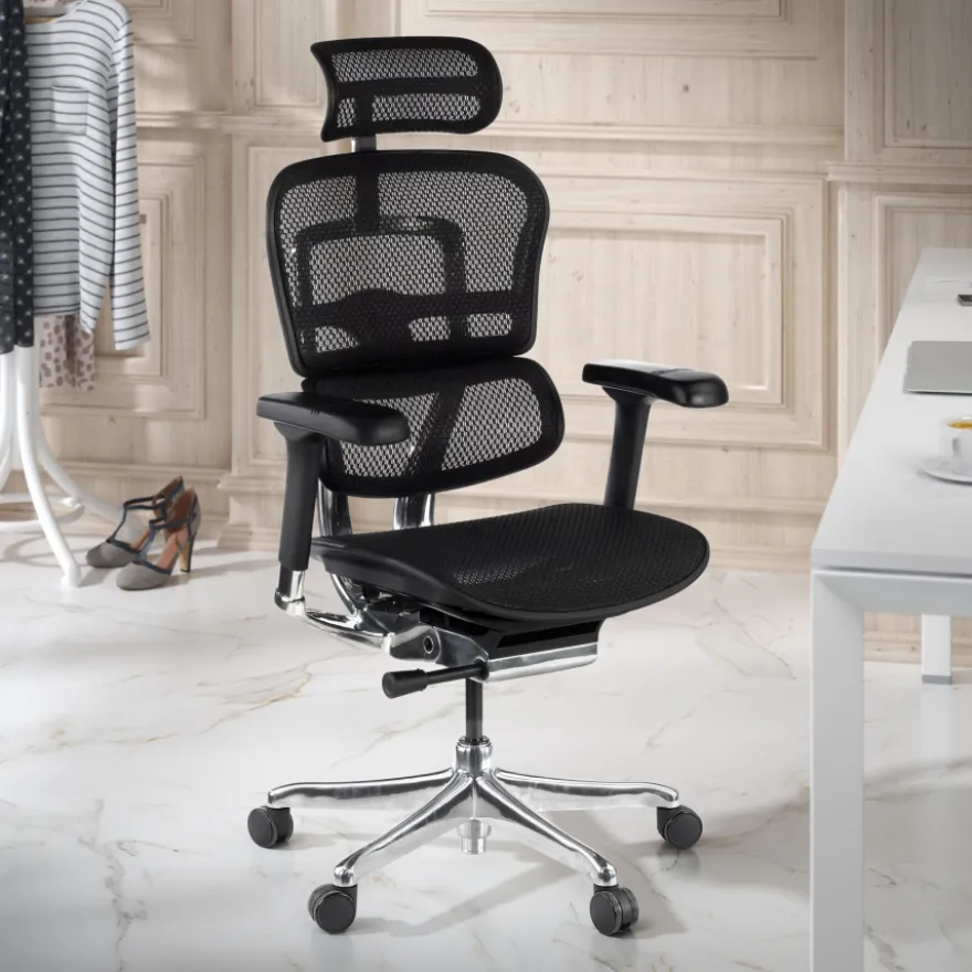 Sedia direzionale ergonomica Ergohuman Elite, Struttura nera