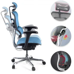 Sedia direzionale ergonomica Ergohuman Edition I, Struttura nera