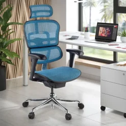Sedia direzionale ergonomica Ergohuman Edition I, Struttura nera