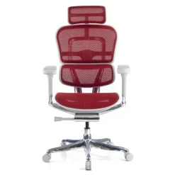 Sedia direzionale ergonomica Ergohuman Elite, Struttura bianca