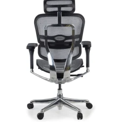 Sedia direzionale ergonomica Ergohuman Elite, Struttura nera
