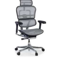 Sedia direzionale ergonomica Ergohuman Elite, Struttura nera