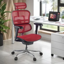 Sedia direzionale ergonomica Ergohuman Edition I, Struttura nera