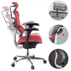 Sedia direzionale ergonomica Ergohuman Edition I, Struttura nera