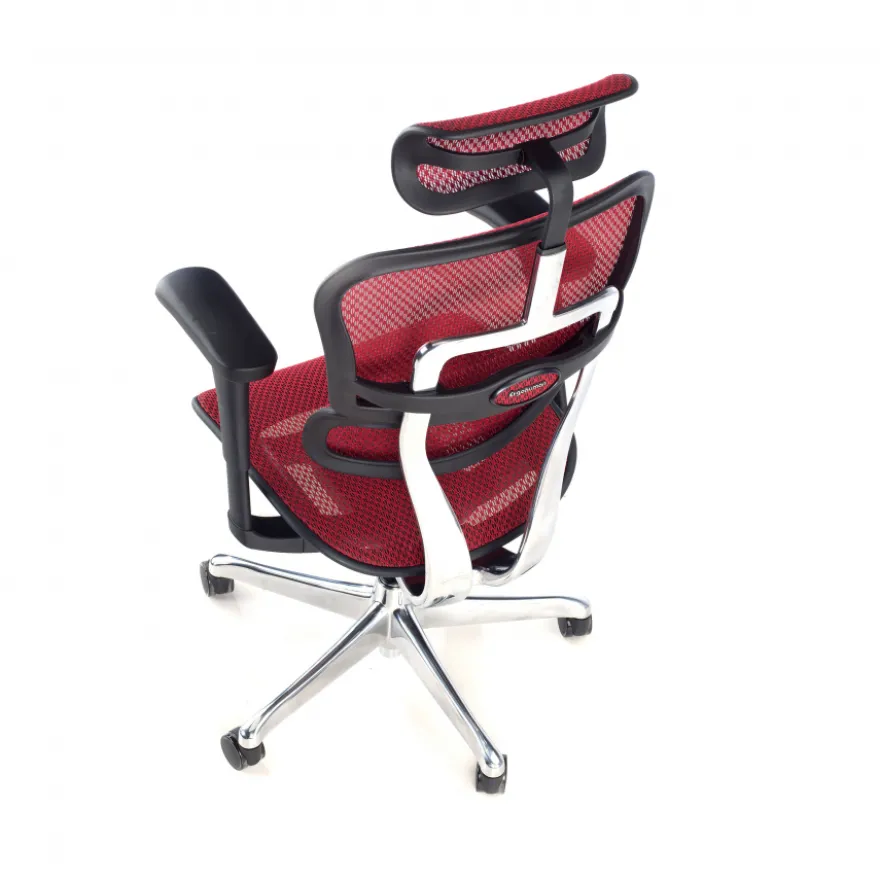 Sedia direzionale ergonomica Ergohuman Edition I, Struttura nera