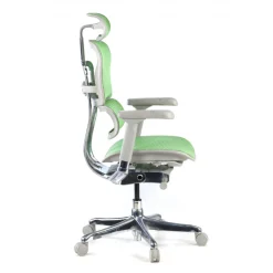 Sedia direzionale ergonomica Ergohuman Elite, Struttura bianca