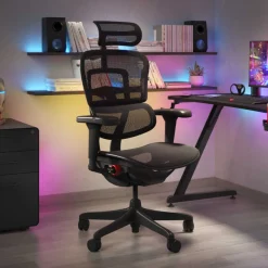 Sedia Ergohuman Ultra Gaming Edition Black Carbon