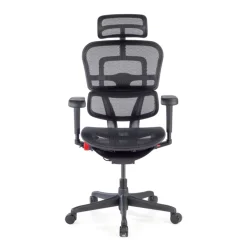 Sedia Ergohuman Ultra Gaming Edition Black Carbon