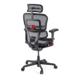 Sedia Ergohuman Ultra Gaming Edition Black Carbon