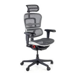 Sedia Ergohuman Ultra Gaming Edition Black Carbon