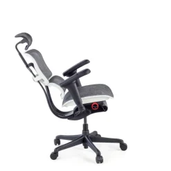 Sedia Ergohuman Ultra Gaming Edition Black Carbon
