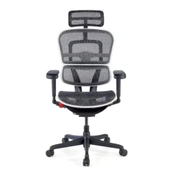 Sedia Ergohuman Ultra Gaming Edition Black Carbon