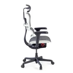 Sedia Ergohuman Ultra Gaming Edition Black Carbon