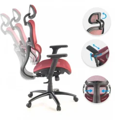 Sedia Ergonomica Ergocity, cuscino lombare, braccioli 3D