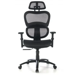 Sedia Ergonomica Ergocity, cuscino lombare, braccioli 3D